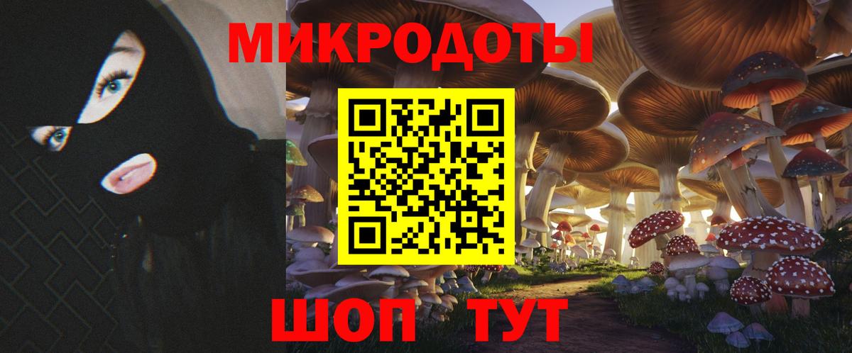 Галлюциногенные грибы Psilocybe Ухта